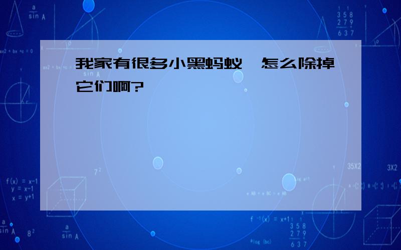 我家有很多小黑蚂蚁,怎么除掉它们啊?