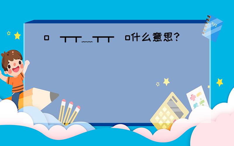 o(┳┳﹏┳┳)o什么意思?