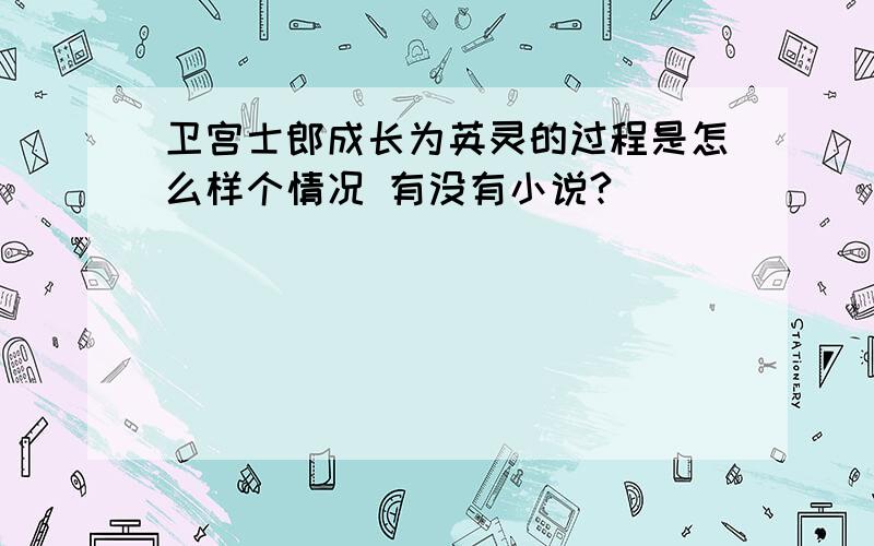 卫宫士郎成长为英灵的过程是怎么样个情况 有没有小说?