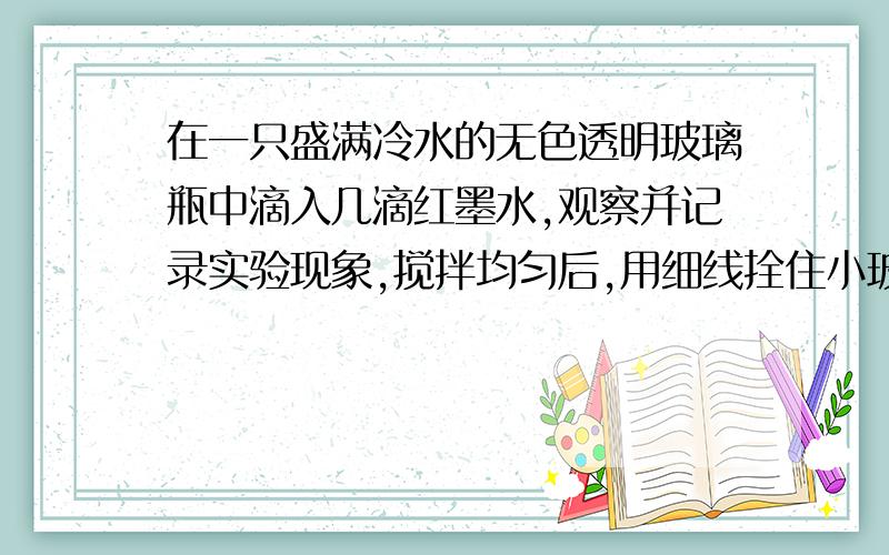 在一只盛满冷水的无色透明玻璃瓶中滴入几滴红墨水,观察并记录实验现象,搅拌均匀后,用细线拴住小玻璃瓶并将其缓缓沉入盛满热水的大烧杯杯底,观察并记录实验现象,