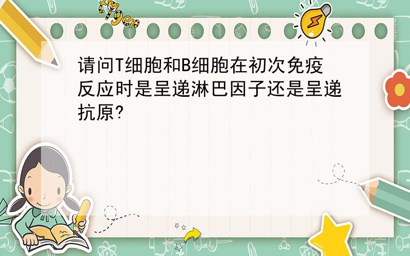 请问T细胞和B细胞在初次免疫反应时是呈递淋巴因子还是呈递抗原?