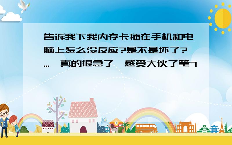 告诉我下我内存卡插在手机和电脑上怎么没反应?是不是坏了?...　真的很急了,感受大伙了笔7