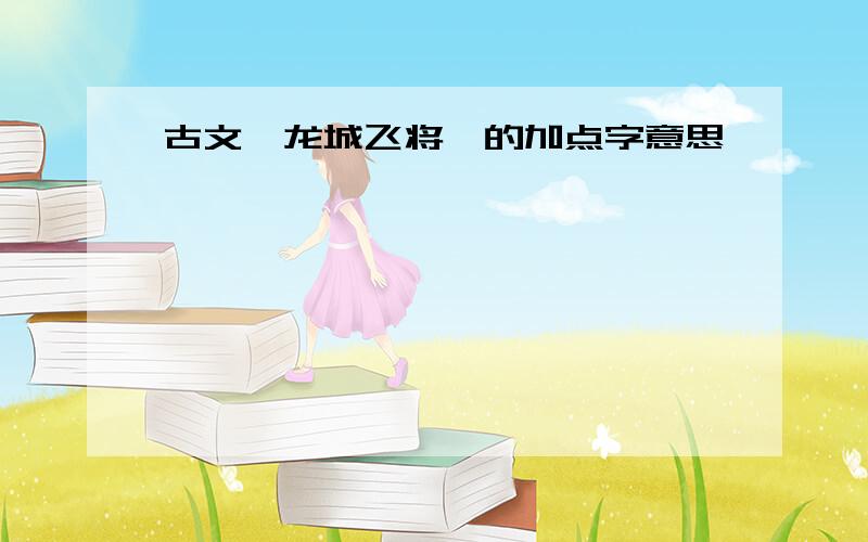 古文《龙城飞将》的加点字意思