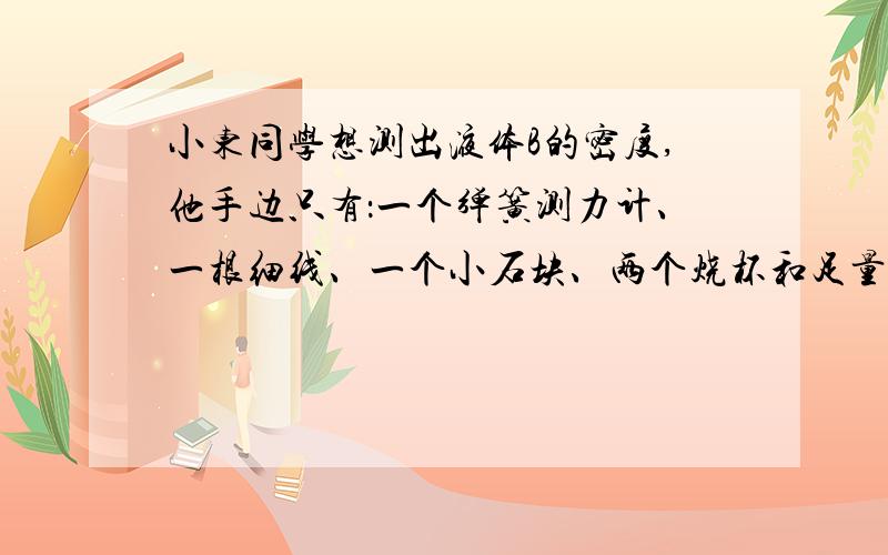 小东同学想测出液体B的密度,他手边只有：一个弹簧测力计、一根细线、一个小石块、两个烧杯和足量的水．小东同学根据这些器材设计出了下面的实验步骤,但不完整．请你将小东的实验步