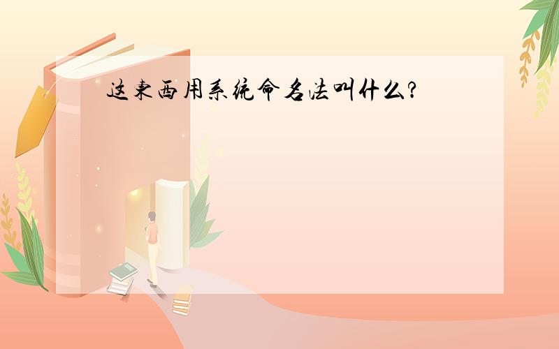 这东西用系统命名法叫什么?