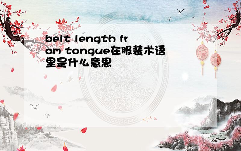 belt length from tongue在服装术语里是什么意思