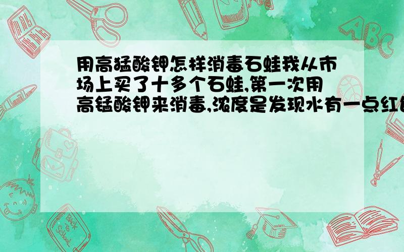 用高猛酸钾怎样消毒石蛙我从市场上买了十多个石蛙,第一次用高锰酸钾来消毒,浓度是发现水有一点红色,石蛙没事,隔五天,再用高锰酸钾消毒,浓度稍微浓了一些,水有点浅红色,第二天就发现