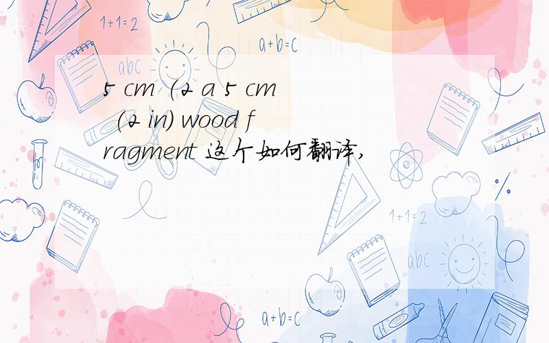 5 cm (2 a 5 cm (2 in) wood fragment 这个如何翻译,