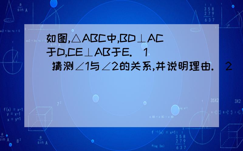 如图,△ABC中,BD⊥AC于D,CE⊥AB于E.（1） 猜测∠1与∠2的关系,并说明理由.（2） 如果∠A是钝角,（1）中的结论是否还成立?