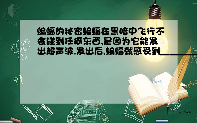 蝙蝠的秘密蝙蝠在黑暗中飞行不会碰到任何东西,是因为它能发出超声波,发出后,蝙蝠就感受到___________,这样它就知道目标的方向和距离了.