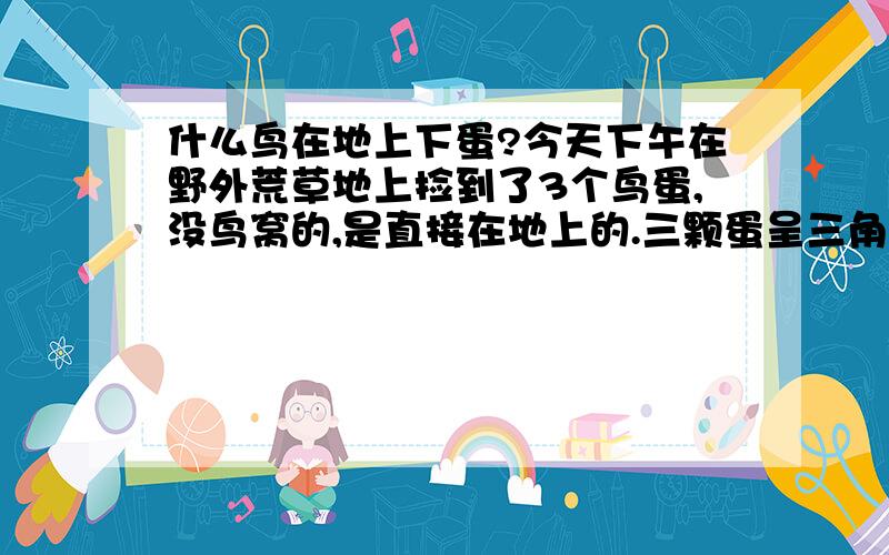 什么鸟在地上下蛋?今天下午在野外荒草地上捡到了3个鸟蛋,没鸟窝的,是直接在地上的.三颗蛋呈三角形摆的蛮整齐的,蛋跟乌鸦的蛋差不多,一头很尖.有没有啥鸟类专家知道这是啥鸟下的蛋吗?