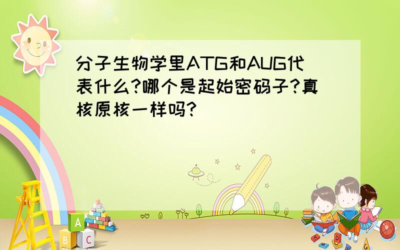 分子生物学里ATG和AUG代表什么?哪个是起始密码子?真核原核一样吗?