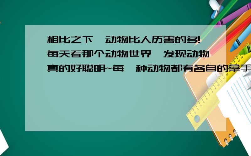 相比之下,动物比人历害的多!每天看那个动物世界,发现动物真的好聪明~每一种动物都有各自的拿手好戏,都有一门技术,而且很精很精~老虎凶猛,袋鼠蹦的快,猴子会爬树,狗的鼻子一流的棒,猫