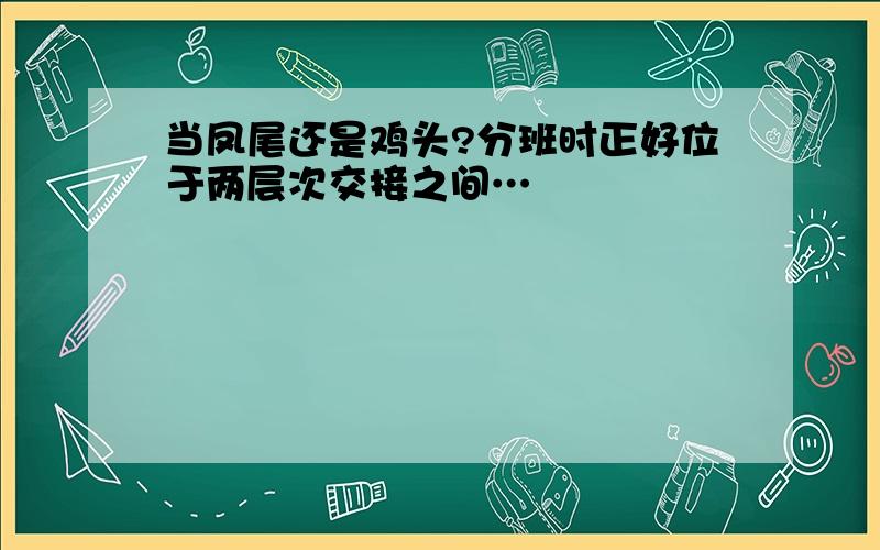 当凤尾还是鸡头?分班时正好位于两层次交接之间…