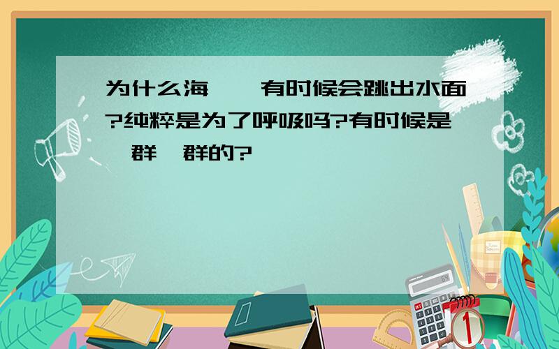 为什么海豚,有时候会跳出水面?纯粹是为了呼吸吗?有时候是一群一群的?