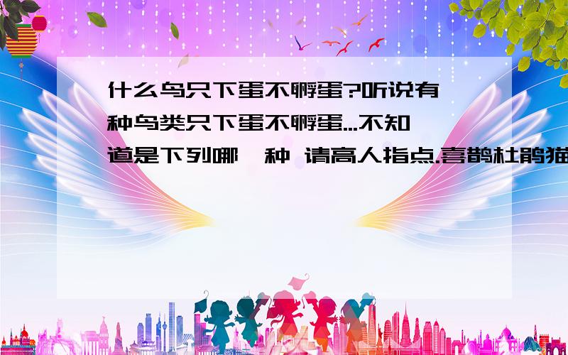 什么鸟只下蛋不孵蛋?听说有一种鸟类只下蛋不孵蛋...不知道是下列哪一种 请高人指点.喜鹊杜鹃猫头鹰