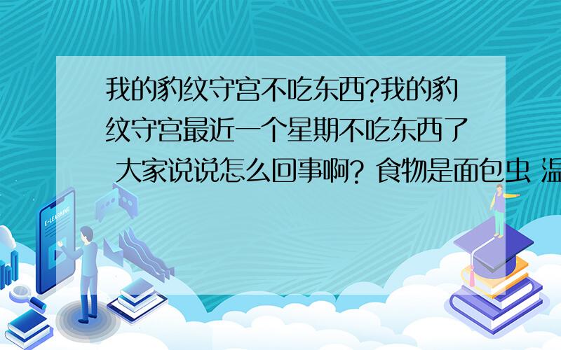 我的豹纹守宫不吃东西?我的豹纹守宫最近一个星期不吃东西了 大家说说怎么回事啊? 食物是面包虫 温度也够了 26°   以前放进去面包虫接着就吃了,食欲很好.可后来就不吃了,后来逮了个蟑螂