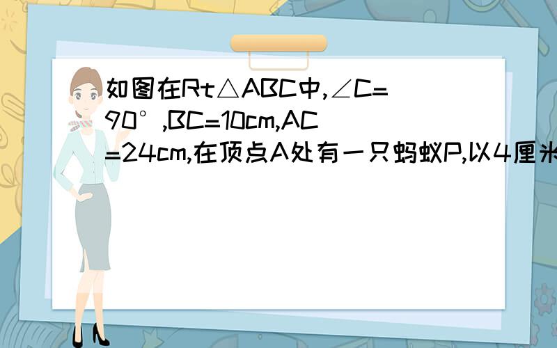 如图在Rt△ABC中,∠C=90°,BC=10cm,AC=24cm,在顶点A处有一只蚂蚁P,以4厘米每秒的速度沿AC方向爬行,同时在顶点B处有一只蜗牛Q,以1厘米每秒的速度沿BC方向爬行.（1）当他们出发爬行3秒后,相距多少厘