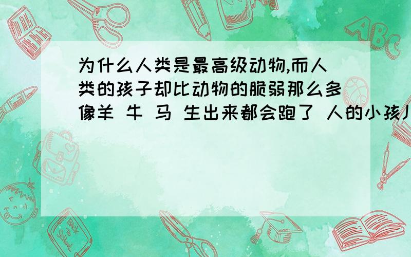 为什么人类是最高级动物,而人类的孩子却比动物的脆弱那么多像羊 牛 马 生出来都会跑了 人的小孩儿