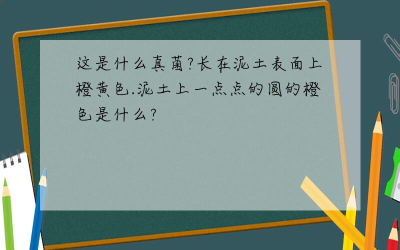 这是什么真菌?长在泥土表面上橙黄色.泥土上一点点的圆的橙色是什么?