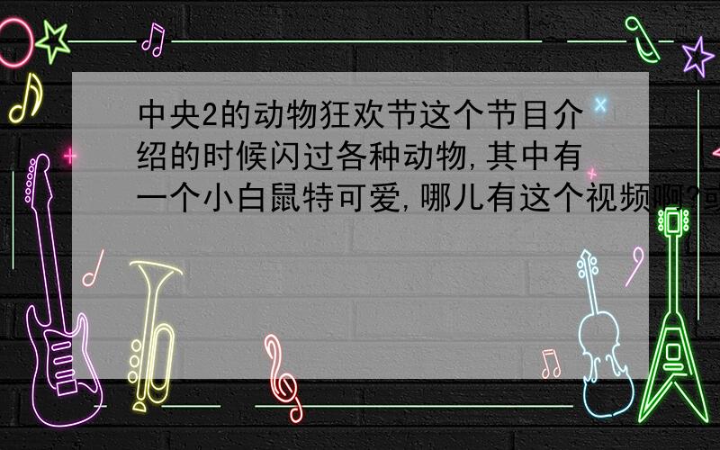 中央2的动物狂欢节这个节目介绍的时候闪过各种动物,其中有一个小白鼠特可爱,哪儿有这个视频啊?或者是那节目演过