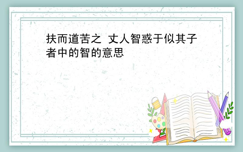 扶而道苦之 丈人智惑于似其子者中的智的意思