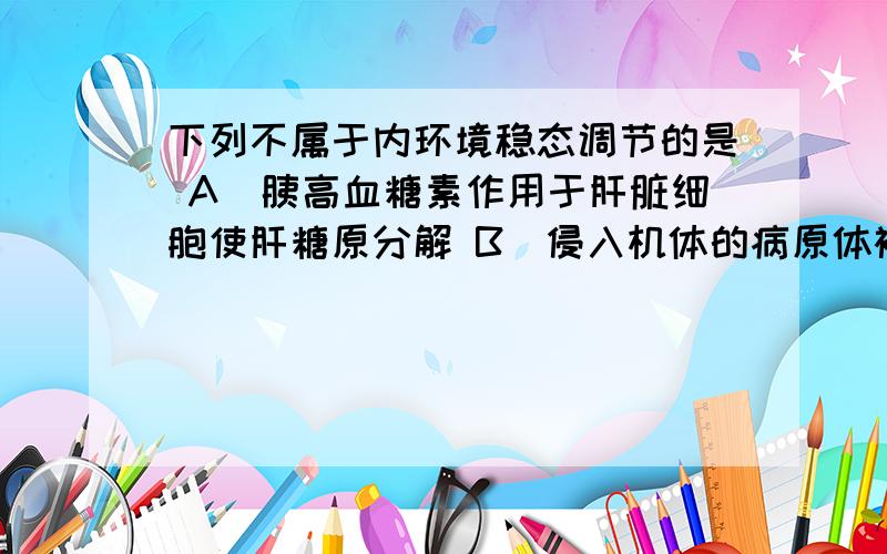 下列不属于内环境稳态调节的是 A．胰高血糖素作用于肝脏细胞使肝糖原分解 B．侵入机体的病原体被吞噬细胞吞噬 C．寒冷刺激使皮肤温度感受器产生反射性血管收缩反应 D．口服多酶片促