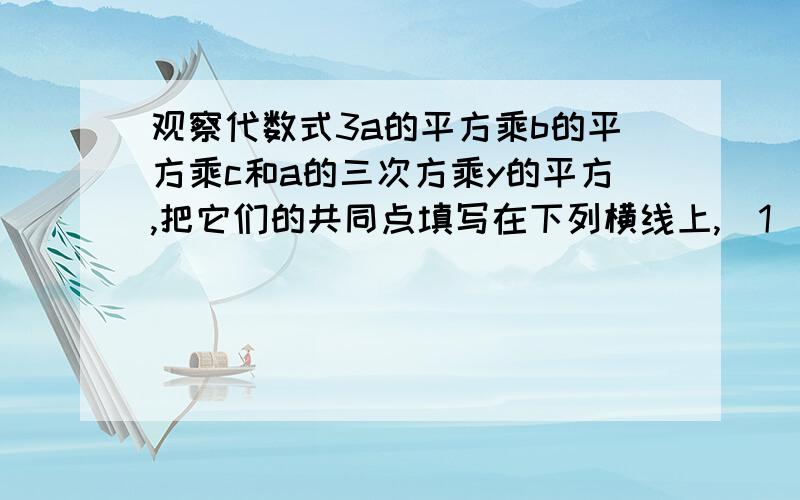 观察代数式3a的平方乘b的平方乘c和a的三次方乘y的平方,把它们的共同点填写在下列横线上,（1）都是（ ）式,（2）都是（ ）