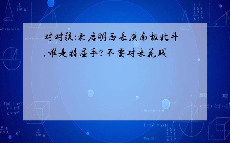 对对联：东启明西长庚南极北斗,谁是摘星手?不要对采花贼