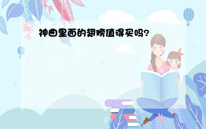 神曲里面的翅膀值得买吗?