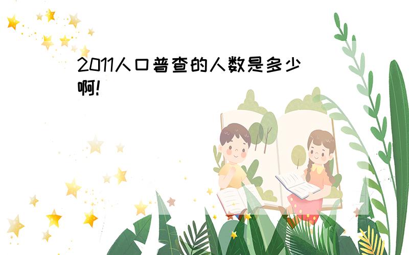 2011人口普查的人数是多少啊!