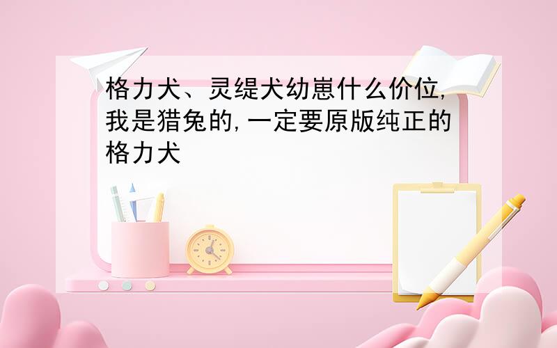 格力犬、灵缇犬幼崽什么价位,我是猎兔的,一定要原版纯正的格力犬