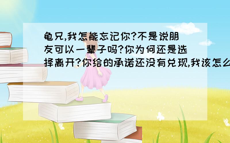 龟兄,我怎能忘记你?不是说朋友可以一辈子吗?你为何还是选择离开?你给的承诺还没有兑现,我该怎么遗忘?有你影子的回忆,我该怎样储存?没有你陪伴的生活,我该怎么继续?龟兄,你再教教龟妹