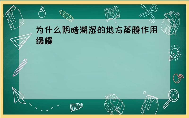 为什么阴暗潮湿的地方蒸腾作用缓慢