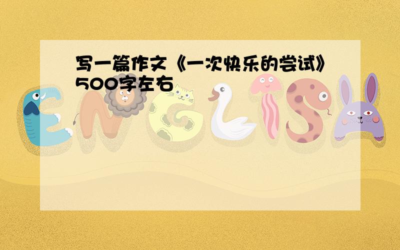 写一篇作文《一次快乐的尝试》500字左右