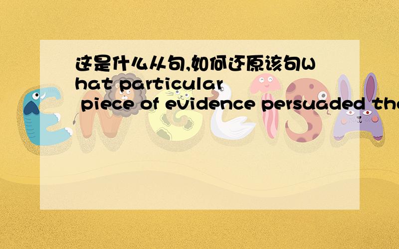 这是什么从句,如何还原该句What particular piece of evidence persuaded the experts that a puma had been seen in the village?