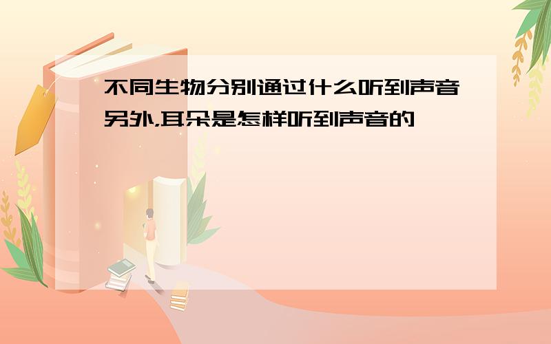 不同生物分别通过什么听到声音另外，耳朵是怎样听到声音的