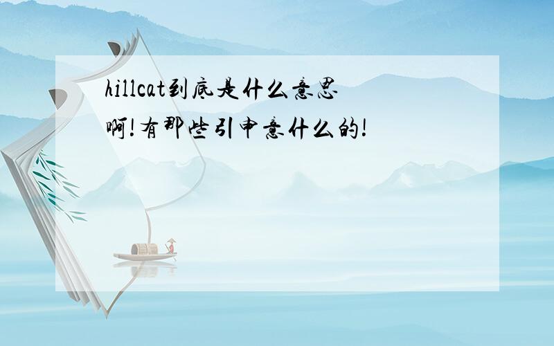 hillcat到底是什么意思啊!有那些引申意什么的!