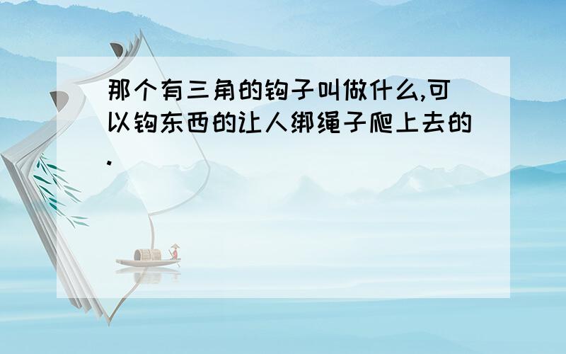 那个有三角的钩子叫做什么,可以钩东西的让人绑绳子爬上去的.