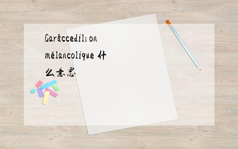 Garçon mélancolique 什么意思