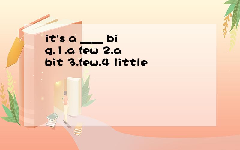 it's a ____ big.1.a few 2.a bit 3.few.4 little