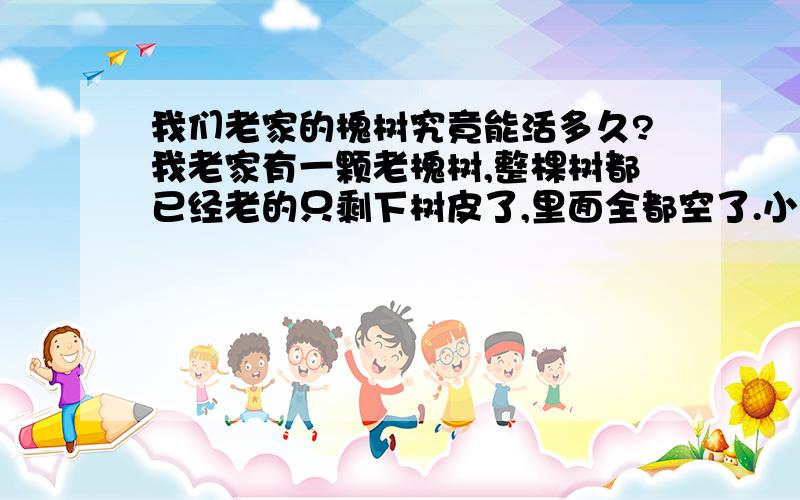 我们老家的槐树究竟能活多久?我老家有一颗老槐树,整棵树都已经老的只剩下树皮了,里面全都空了.小时候我们捉迷藏都跑里面.但是它依然活着.我们村里的人不管多大岁数的人都没有知道这