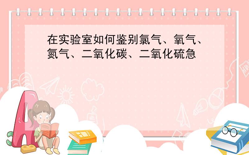 在实验室如何鉴别氯气、氧气、氮气、二氧化碳、二氧化硫急