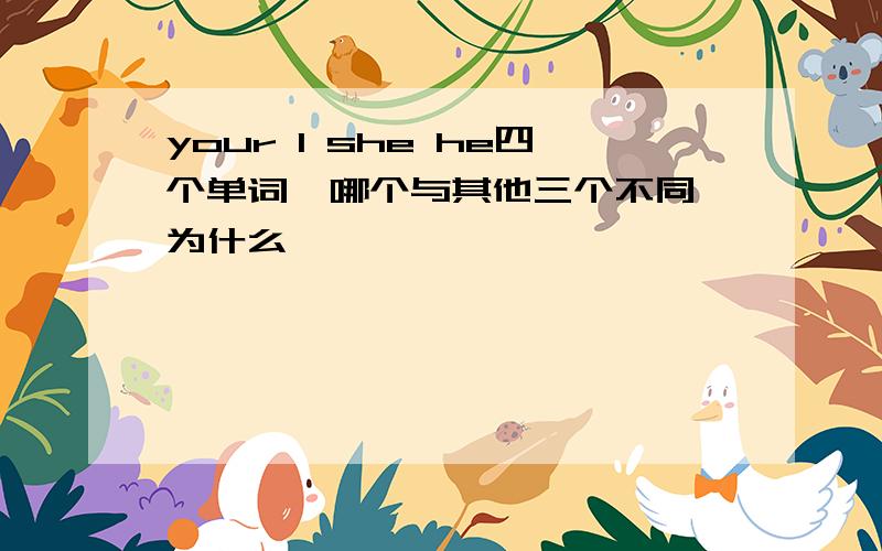 your I she he四个单词,哪个与其他三个不同,为什么