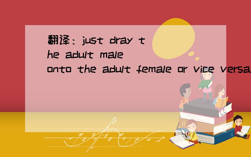 翻译：just dray the adult male onto the adult female or vice versa.