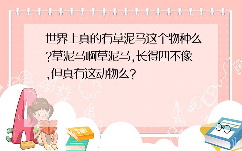 世界上真的有草泥马这个物种么?草泥马啊草泥马,长得四不像,但真有这动物么?