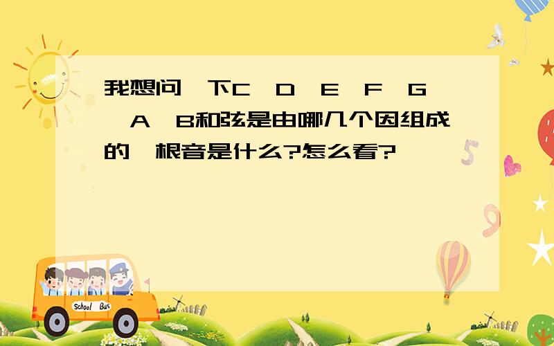 我想问一下C、D、E、F、G、A、B和弦是由哪几个因组成的,根音是什么?怎么看?