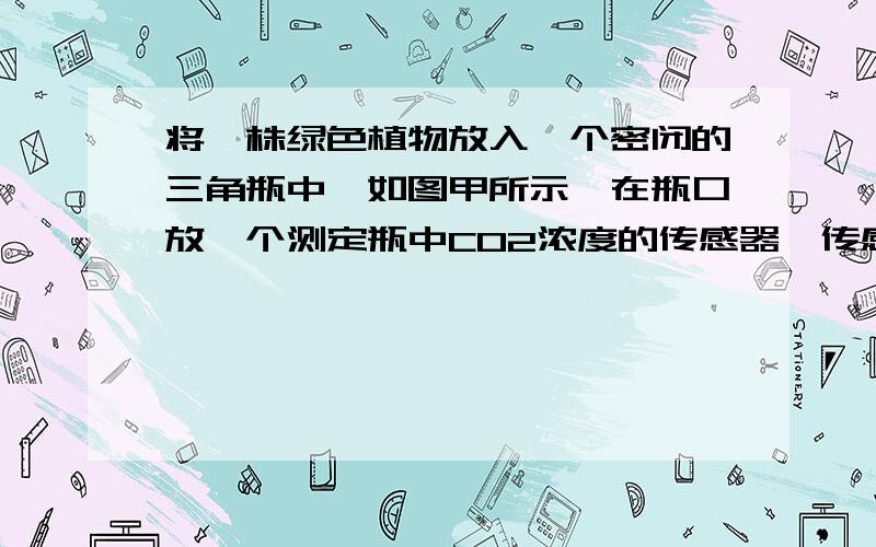 将一株绿色植物放入一个密闭的三角瓶中,如图甲所示,在瓶口放一个测定瓶中CO2浓度的传感器,传感器的另一端与计算机连接,以监测一段时间内瓶中CO2浓度的变化.根据实验所测数据绘制曲线