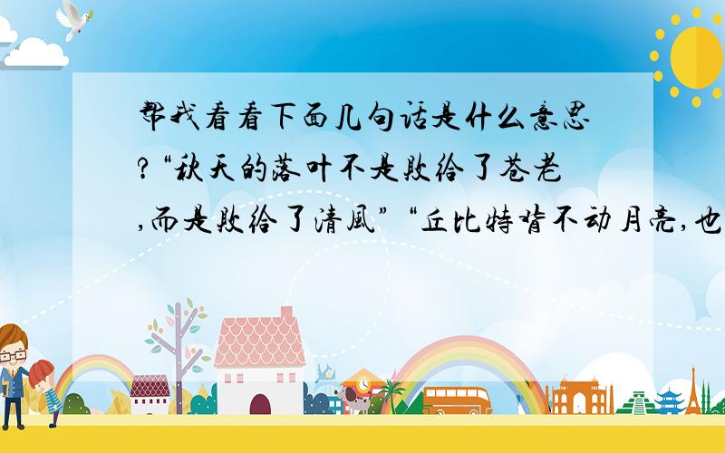 帮我看看下面几句话是什么意思?“秋天的落叶不是败给了苍老,而是败给了清风” “丘比特背不动月亮,也要带走一片月亮” “离去的时候,阳光是一片悲哀之水,深深渗入土壤,在底下呜咽不