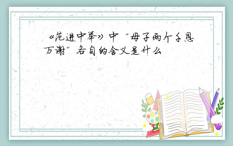 《范进中举》中“母子两个千恩万谢”各自的含义是什么